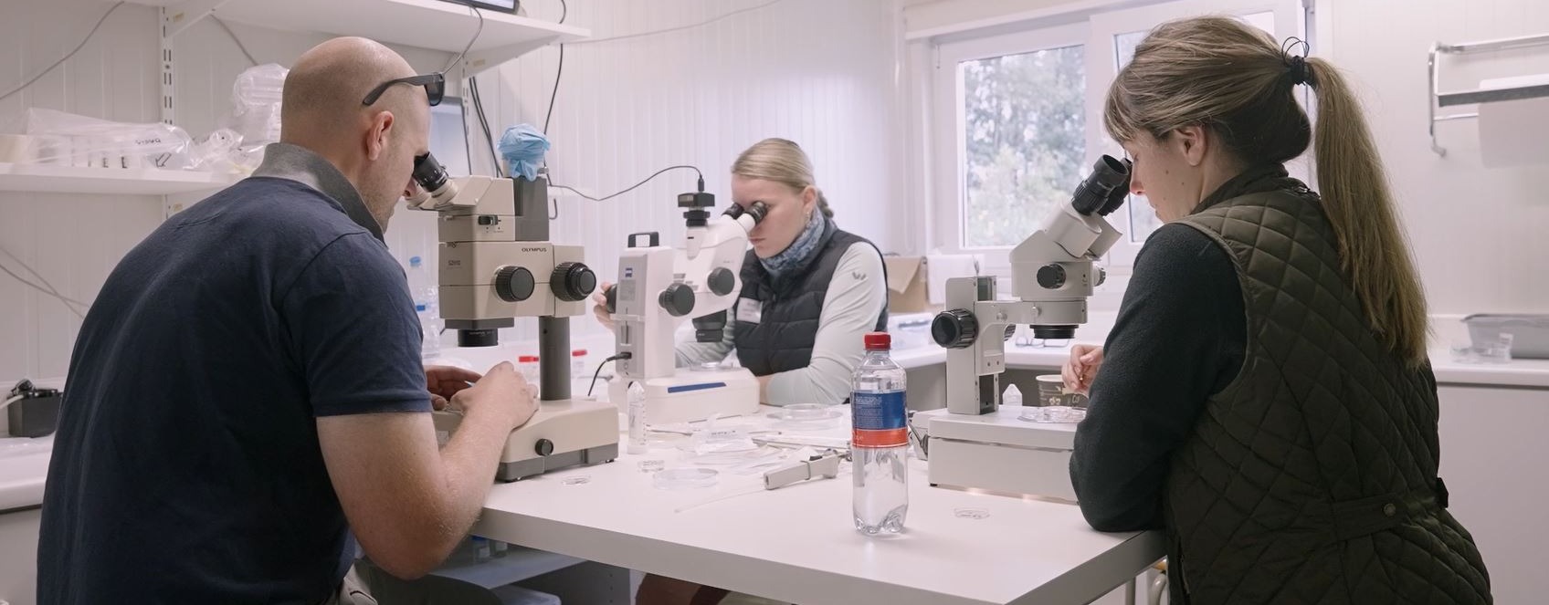 Keros Embryo Transfer - Full Course