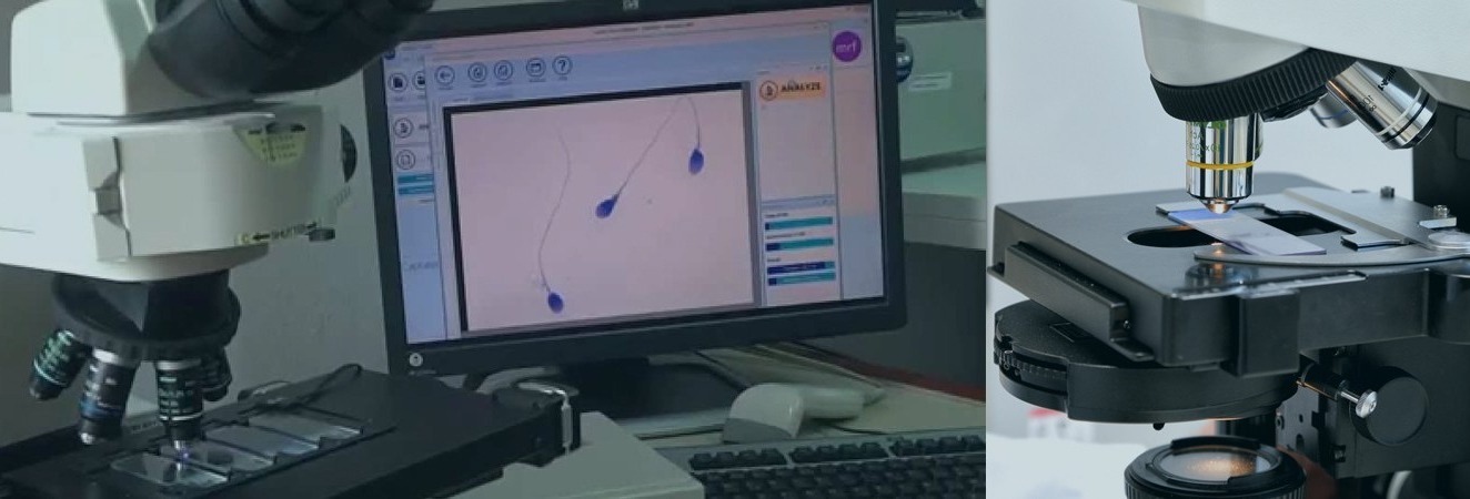 Stallion & Semen Handling Workshop