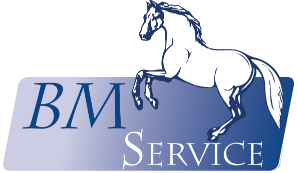 BM Service