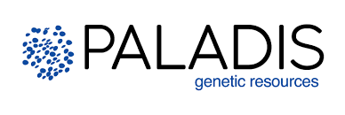 Paladis